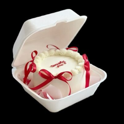 Bento Cake Box - 6 Inches - 10